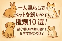 一人暮らしでペットを飼いやすい種類10選！留守番OKで初心者にもおすすめなのは？